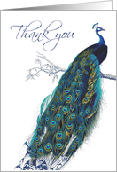 Beautiful Blue Vintage Peacock - Thank you card