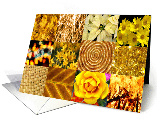 Yellow and Gold photography collage - any occasion blank note card