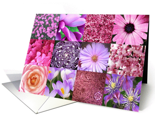 Pink photography squares collage - any occasion blank note card