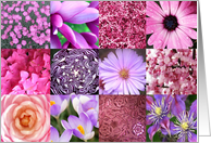 Pink photography squares collage - any occasion blank note card