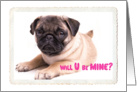 Valentine’s Day Adorable Pug Will U be Mine? card