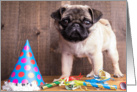 Happy Birthday Cute Pug Puppy card