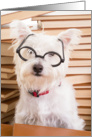 Happy Birthday Bookworm Westie in Glasses card