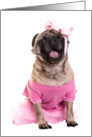 Dance Recital Pug Puppy in Pink Tutu Invitation card