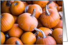 Pumpkins Autumn Season Blank card