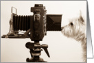 Dog Photographer card