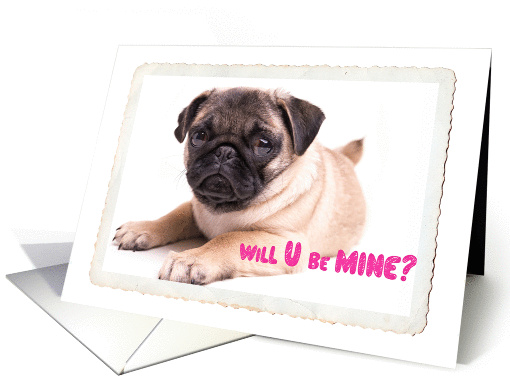 Valentine's Day Adorable Pug Will U be Mine? card (1070299)