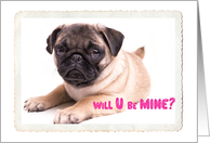 Valentine’s Day Adorable Pug Will U be Mine? card