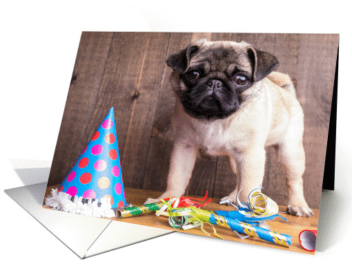 Happy Birthday Cute Pug Puppy card (1070313)