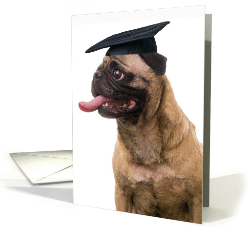 Top Dog Pug in Cap Graduation Party Invitation card (1070413)