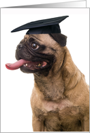 Congratulations Pug in Cap on your graduation! card