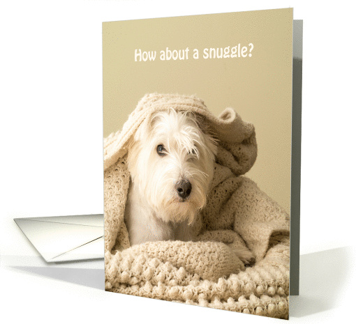 How about a snuggle? White Westie Love card (1070423)