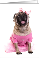 Dance Recital Pug Puppy in Pink Tutu Invitation card