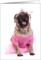 Dance Recital Pug...