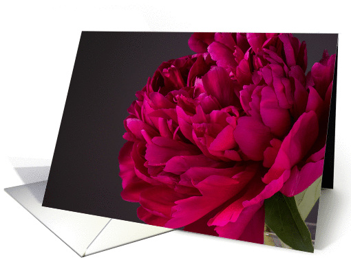 Red Peony Flower card (1080312)