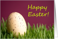 Happy Easter - Easter Egg in Grass card
