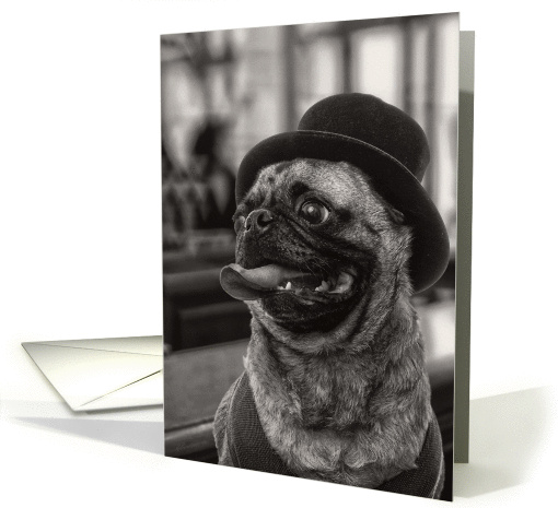 Last Call pug dog in bar Blank Note card (1099664)