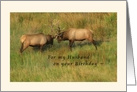 For my Husband on your Birthday - Bull Elk Card