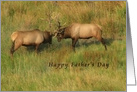 Happy Father’s Day - Bull Elk card