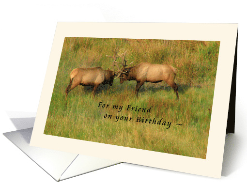 For my Friend on your Birthday - Bull Elk card (1284872)
