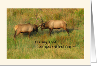 For my Dad on your Birthday - Bull Elk Card