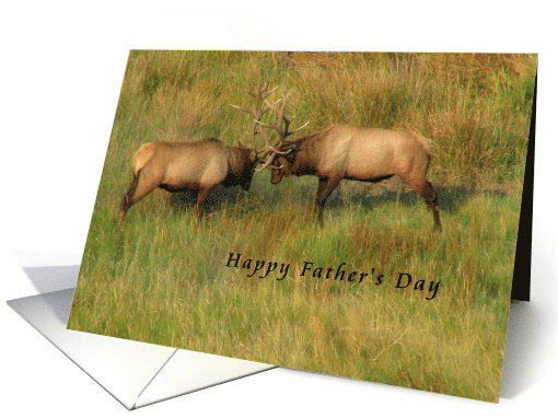 Happy Father's Day - Bull Elk card (1298574)