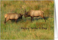 Happy Father’s Day - Bull Elk card