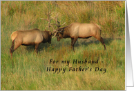 For Husband on Father’s Day - Bull Elk card