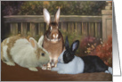 Three Easter Bunnies in a Garden card
