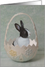 Bunny In a Easter Egg card