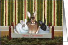 Merry Christmas Bunny Style card