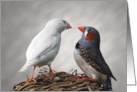 A Pair of Finches in a Nest card