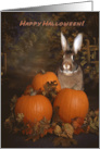 Halloween Bunny in a Pumpkin Patch card