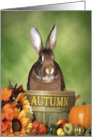 Autumn Bunny Ready For Halloween card