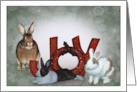 Season’s Greetings Bunny Joy card