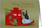 Christmas Bunny Across the Miles card