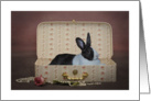 Easter Bunny Lounging In A Pretty Box card