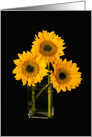 Sunflowers in a Vase All-Occasion card