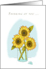 Thinking of You in this Difficult Time Illustration of Sunflowers card