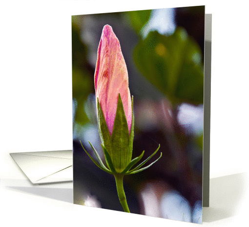 Missing You, Pink Hibiscus Bud card (1118776)