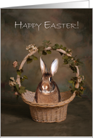 Bunny In An Easter Basket card