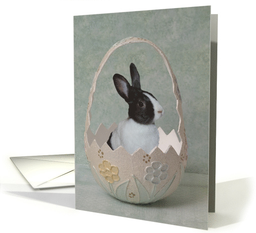 Bunny In a Easter Egg card (1120996)