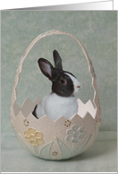 Bunny In a Easter Egg card