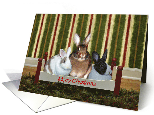 Merry Christmas Bunny Style card (1152648)