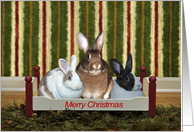 Merry Christmas Bunny Style card