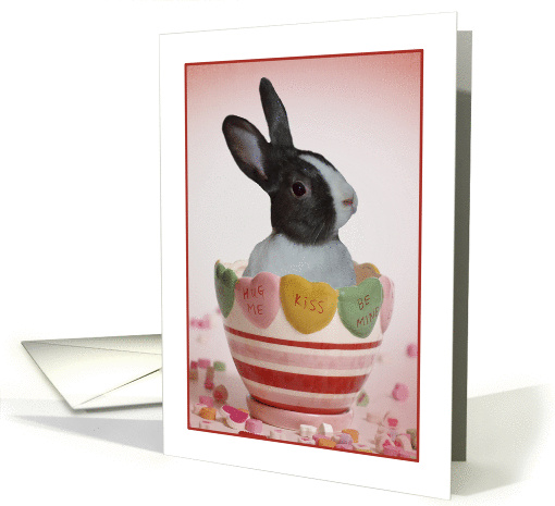 Valentine's Day Bunny Style card (1161380)