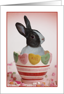 Valentine’s Day Bunny Style card