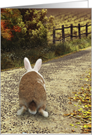 Easter Bunny Trail card