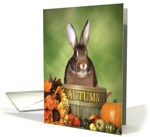 Autumn Bunny Ready For Halloween card (1170544)