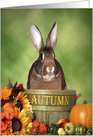 Autumn Bunny Ready For Halloween card